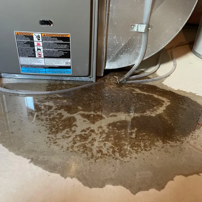 Appliance Leak Cleanup in Deschutes River Woods, OR