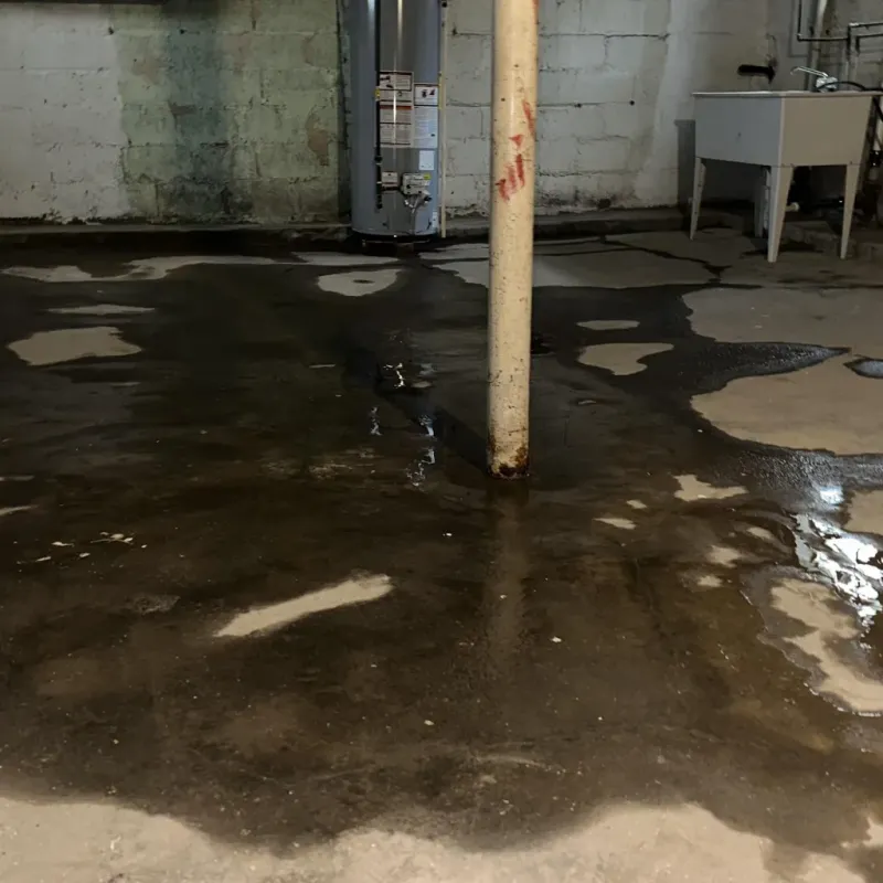 Emergency Water Extraction And Removal in Deschutes River Woods, OR